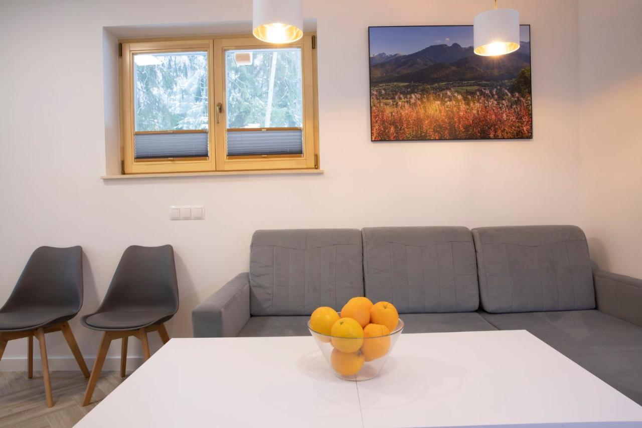 Tatrytop Apartamenty Alpejski Spa Kościelisko Exterior foto